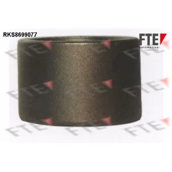 Piston, étrier de frein FTE RKS8699077