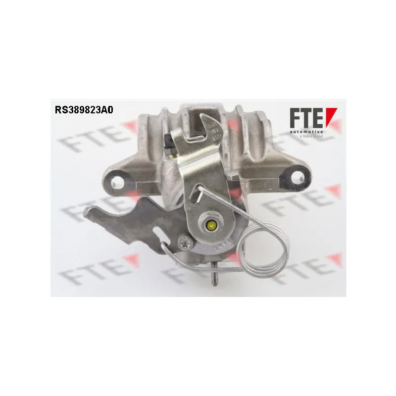Étrier de frein FTE RS389823A0