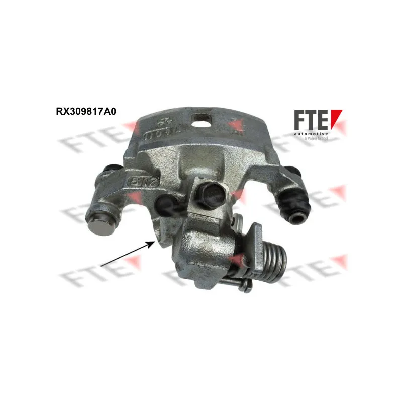 Étrier de frein FTE RX309817A0