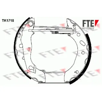 Kit de freins arrière (prémontés) FTE TK1718