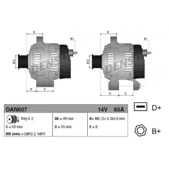 Alternateur DENSO DAN607