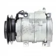 Compresseur, climatisation DENSO DCP50102 - Visuel 2