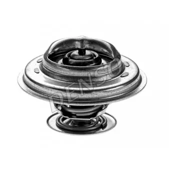 Thermostat d'eau DENSO DTM88247