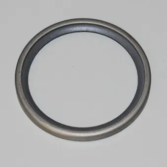 Joint d'étanchéité, thermostat WAHLER 120875