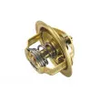 Thermostat d'eau WAHLER 3004.74 - Visuel 2
