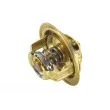 Thermostat d'eau WAHLER 3004.82 - Visuel 2