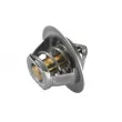 Thermostat d'eau WAHLER 3017.80 - Visuel 2