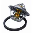 Thermostat d'eau WAHLER 3017.92D2 - Visuel 2