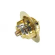 Thermostat d'eau WAHLER 3032.88 - Visuel 2