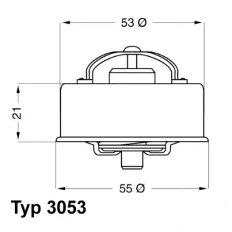 Thermostat d'eau WAHLER 3053.75