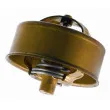 Thermostat d'eau WAHLER 3053.75 - Visuel 2