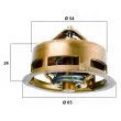 Thermostat d'eau WAHLER 3096.75 - Visuel 1