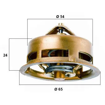 Thermostat d'eau WAHLER 3096.75