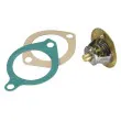 Thermostat d'eau WAHLER 3119.82D3 - Visuel 3