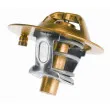 Thermostat d'eau WAHLER 3119.88D3 - Visuel 2