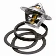Thermostat d'eau WAHLER 3136.88D50 - Visuel 2