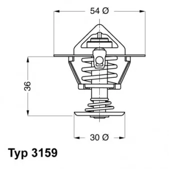 Thermostat d'eau WAHLER 3159.82D
