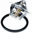 Thermostat d'eau WAHLER 3466.89D - Visuel 2