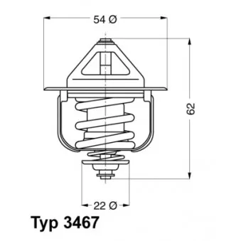Thermostat d'eau WAHLER 3467.85D
