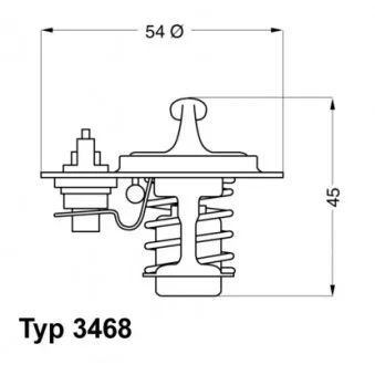 Thermostat d'eau WAHLER 3468.88D