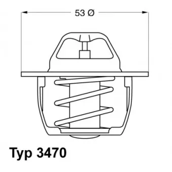 Thermostat d'eau WAHLER 3470.89D50