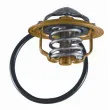 Thermostat d'eau WAHLER 3472.87D - Visuel 2