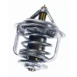 Thermostat d'eau WAHLER 3478.82D - Visuel 2