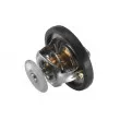 Thermostat d'eau WAHLER 3497.88D - Visuel 2