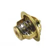 Thermostat d'eau WAHLER 4003.86 - Visuel 2
