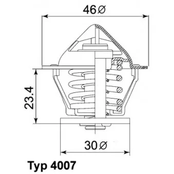 Thermostat d'eau WAHLER 4007.80D