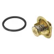 Thermostat d'eau WAHLER 4008.79D - Visuel 2