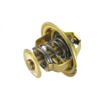 Thermostat d'eau WAHLER 4026.89