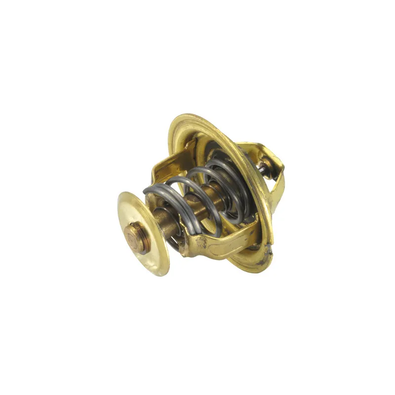 Thermostat d'eau WAHLER 4026.89