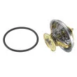 Thermostat d'eau WAHLER 4049.87D - Visuel 3