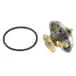 Thermostat d'eau WAHLER 4088.80D - Visuel 3