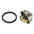 Thermostat d'eau WAHLER 4089.87D - Visuel 2