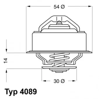 Thermostat d'eau WAHLER 4089.92D