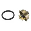 Thermostat d'eau WAHLER 4089.92D - Visuel 2