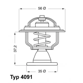 Thermostat d'eau WAHLER 4091.82D
