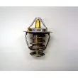 Thermostat d'eau WAHLER 410176.88D0 - Visuel 1
