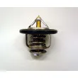 Thermostat d'eau WAHLER 410178.82D - Visuel 1