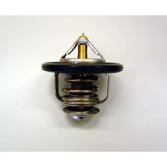 Thermostat d'eau WAHLER 410178.82D