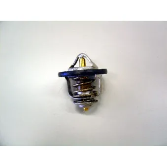 Thermostat d'eau WAHLER 410179.84D