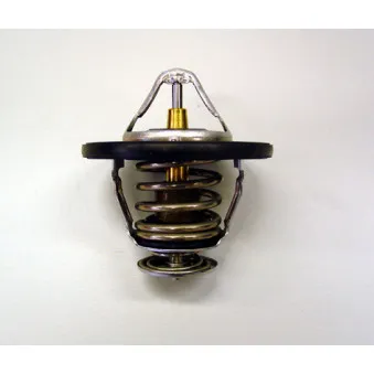 Thermostat d'eau WAHLER 410180.82D