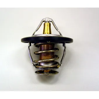 Thermostat d'eau WAHLER 410181.82D