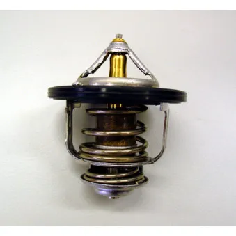 Thermostat d'eau WAHLER 410182.84D