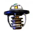Thermostat d'eau WAHLER 410183.82D - Visuel 1