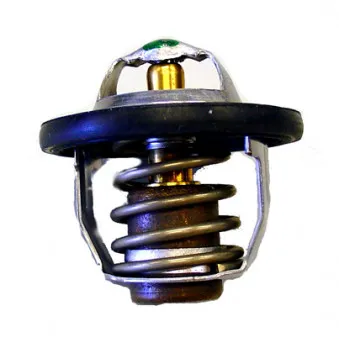 Thermostat d'eau WAHLER 410183.82D