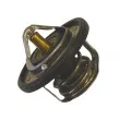 Thermostat d'eau WAHLER 410229.82D - Visuel 1