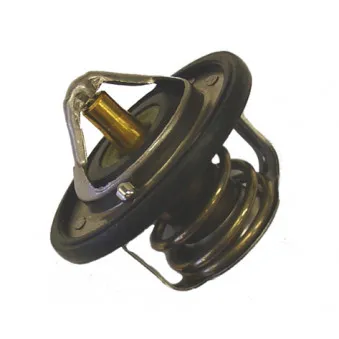 Thermostat d'eau WAHLER 410229.82D